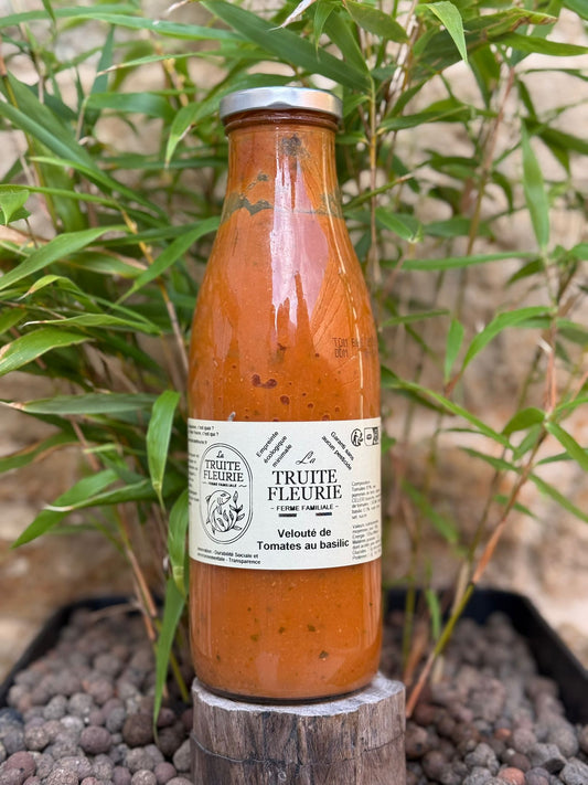 Velouté de tomates au basilic